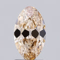 1.51ct BROWN Moval Lab Grown Diamond